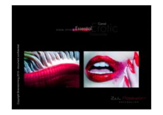 Copyright Brainstorming 2010 - document confidentiel
 