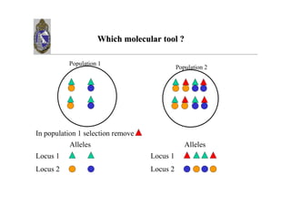 : 0 0/           5

        (       =
                                 (       B




+           =
        -                            -
/   =                    /   =
/   B                    /   B
 