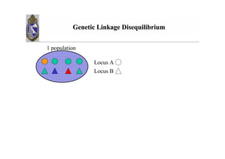 3 ;     #   <   6   /


=

    /   -
    /
 