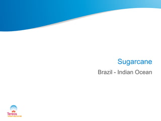 Sugarcane
Brazil - Indian Ocean
 