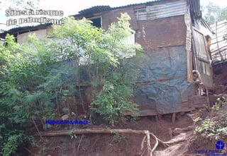Habitat insalubre
 