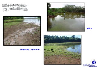 Mare




Retenue collinaire
 