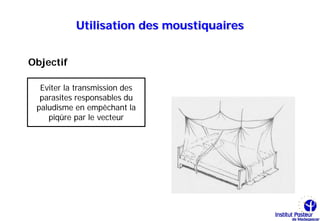 Utilisation des moustiquaires


Objectif

  Eviter la transmission des
  parasites responsables du
 paludisme en empêchant la
    piqûre par le vecteur
 