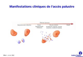 Manifestations cliniques de l’accès palustre




Miller L. et al. 2002
 