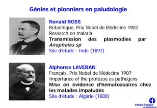 Génies et pionniers en paludologie

      Ronald ROSS
      Britannique, Prix Nobel de Médecine 1902
      Research on malaria
      Transmission des plasmodies par
      Anopheles sp
      Site d’étude : Inde (1897)


      Alphonse LAVERAN
      Français, Prix Nobel de Médecine 1907
      Importance of the protozoa as pathogens
      Mise en évidence d’hématozoaires chez
      les malades impaludés
      Site d’étude : Algérie (1880)
 