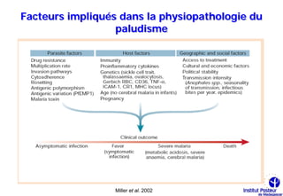 Facteurs impliqués dans la physiopathologie du
                  paludisme




                  Miller et al. 2002
 