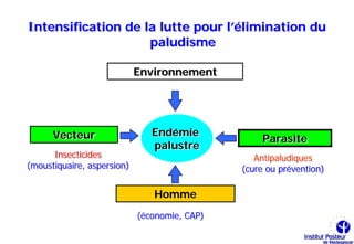 Intensification de la lutte pour l’élimination du
                    paludisme

                            Environnement




      Vecteur                  Endémie
                                                   Parasite
                               palustre
      Insecticides                               Antipaludiques
(moustiquaire, aspersion)                     (cure ou prévention)

                               Homme
                            (économie, CAP)
 