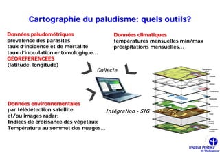 Cartographie du paludisme: quels outils?
Données paludométriques                 Données climatiques
prévalence des parasites                températures mensuelles min/max
taux d’incidence et de mortalité        précipitations mensuelles…
taux d’inoculation entomologique…
GEOREFERENCEES
(latitude, longitude)
                                  Collecte




Données environnementales
par télédétection satellite        I ntégration - SI G
et/ou images radar:
Indices de croissance des végétaux
Température au sommet des nuages…
 