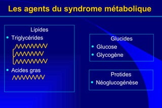 Les agents du syndrome métabolique Lipides Triglycérides Acides gras Protides Néoglucogénèse Glucides Glucose Glycogène 