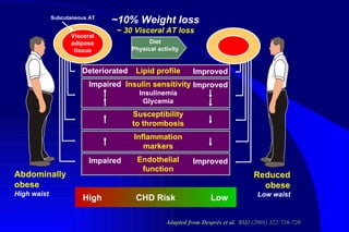 Deteriorated Impaired Impaired Lipid profile Insulin sensitivity Insulinemia Glycemia Susceptibility to thrombosis Inflammation markers Endothelial function CHD Risk Low High Abdominally obese High waist Visceral adipose tissue Subcutaneous AT Adapted from Després et al.  BMJ (2001) 322:716-720  Improved Improved Improved Reduced obese Low waist Diet Physical activity ~10% Weight loss ~ 30 Visceral AT loss 