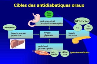 Cibles des antidiabetiques oraux  gastrointestinal  carbohydrate resorption Hyper- glycemia hepatic glucose production Insulin secretion peripheral  glucose uptake Met-formin Glita-zone Metformin SU Gli-nide Acar- bose ( gene transcription) DPP-IV inh 