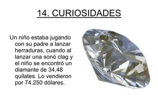 14. CURIOSIDADES

Un niño estaba jugando
 con su padre a lanzar
 herraduras, cuando al
 lanzar una sonó clag y
 el niño se encontró un
 diamante de 34,48
 quilates. Lo vendieron
 por 74.250 dólares.
 