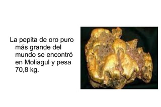 La pepita de oro puro
 más grande del
 mundo se encontró
 en Moliagul y pesa
 70,8 kg.
 