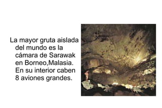 La mayor gruta aislada
 del mundo es la
 cámara de Sarawak
 en Borneo,Malasia.
 En su interior caben
 8 aviones grandes.
 