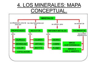 4. LOS MINERALES: MAPA
     CONCEPTUAL.
 