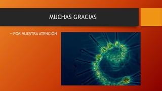 MUCHAS GRACIAS
• POR VUESTRA ATENCIÓN
 