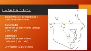 F – eje Y: 60° (+-3°) :
Evalúa Posición de mandíbula y
curso de su crecimiento
Aumentado:
Tendencia de crecimiento vertical
(cara larga)
Disminuido:
Tendencia de crecimiento
horizontal (cara corta)
De importancia para cirugía
 