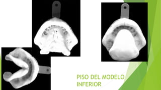 PISO DEL MODELO
INFERIOR
 