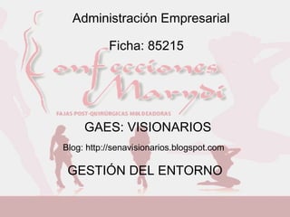 GESTIÓN DEL ENTORNO Ficha: 85215 Administración Empresarial GAES: VISIONARIOS Blog: http://senavisionarios.blogspot.com 