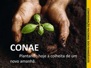 CONFEDERAÇÃO NACIONAL DOS EVANGÉLICOS 
CONAE 
Plantando hoje a colheita de um 
novo amanhã. 
 