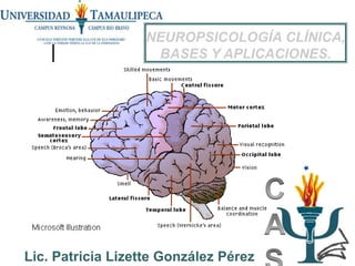 Lic. Patricia Lizette González Pérez
NEUROPSICOLOGÍA CLÍNICA,
BASES Y APLICACIONES.
 