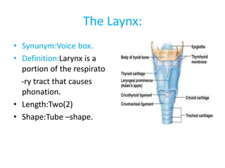 laryngitis diagram