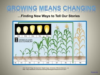 …Finding New Ways to Tell Our Stories
Corn Growth Stage Development. Digital image. University of Illinois Extension, n.d.
Web. <http://weedsoft.unl.edu/documents/growthstagesmodule/corn/corn.htm>.
Picture link
 