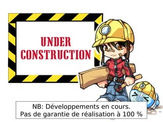 NB: Développements en cours.
Pas de garantie de réalisation à 100 %
 