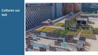 Cultures	sur	
toit	
 