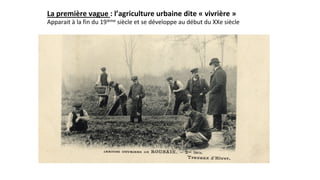 La	première	vague	:	l’agriculture	urbaine	dite	«	vivrière	»	
Apparait	à	la	fin	du	19ième	siècle	et	se	développe	au	début	du	XXe	siècle		
 