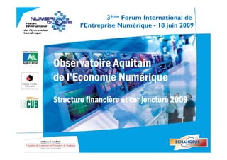 3ème Forum International de
        l’Entreprise
        l Entreprise Numérique - 18 juin 2009




Observatoire Aquitain
de l’Economie Numérique
   l Economie
Structure financière et conjoncture 2009
 