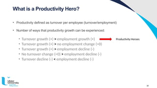18
• Productivity defined as turnover per employee (turnover/employment)
• Number of ways that productivity growth can be experienced:
• Turnover growth (+) > employment growth (+)
• Turnover growth (+) > no employment change (=0)
• Turnover growth (+) > employment decline (-)
• No turnover change (=0) > employment decline (-)
• Turnover decline (-) < employment decline (-)
What is a Productivity Hero?
Productivity Heroes
 