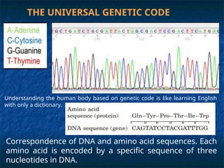 Universal Genetic Code Poster CONFERENCE 4-Genetic Engenieering and Insulin Production.ppt