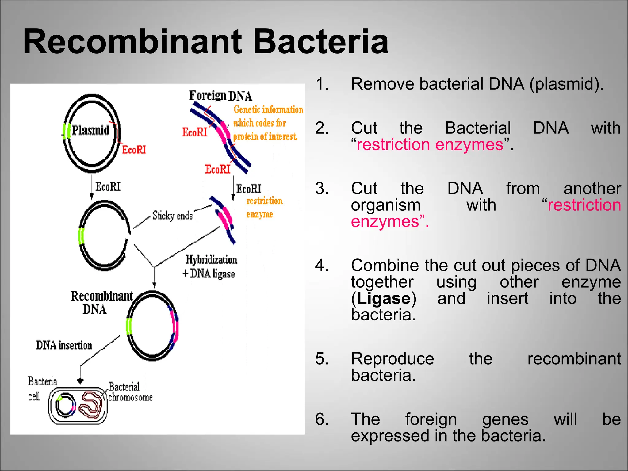 CONFERENCE 5-Techniques in Genetic Engineering-1.ppt