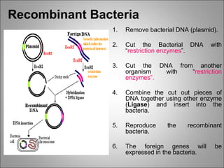 CONFERENCE 5-Techniques in Genetic Engineering.ppt