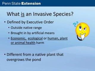 What is an Invasive Species? 
• Defined by Executive Order 
• Outside native range 
• Brought in by artificial means 
• Economic, ecological or human, plant 
or animal health harm 
• Different from a native plant that 
overgrows the pond 
 