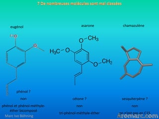eugénol

asarone

chamazulène

phénol ?
non

cétone ?

sesquiterpène ?

phénol et phénol-méthyleéther bicomposé
Marc Ivo B...