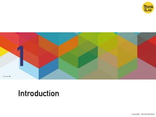Introduction
Copyright : Nicolas Bariteau
1
 
