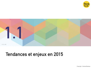 Tendances et enjeux en 2015
Copyright : Nicolas Bariteau
1.1
 