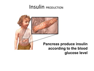 Insulin PRODUCTION
Pancreas produce insulin
according to the blood
glucose level
 