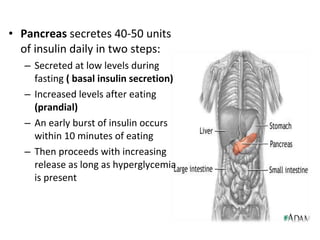 • Pancreas secretes 40-50 units
of insulin daily in two steps:
– Secreted at low levels during
fasting ( basal insulin secretion)
– Increased levels after eating
(prandial)
– An early burst of insulin occurs
within 10 minutes of eating
– Then proceeds with increasing
release as long as hyperglycemia
is present
 
