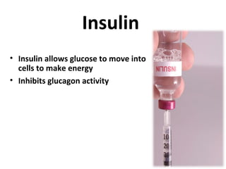 Insulin
• Insulin allows glucose to move into
cells to make energy
• Inhibits glucagon activity
 