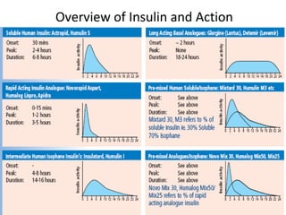 Overview of Insulin and Action
 