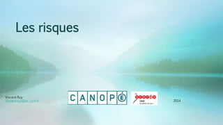 Les risques
Vincent Ruy
Vincent.ruy@ac-lyon.fr 2014
 