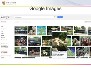 Google Images
 