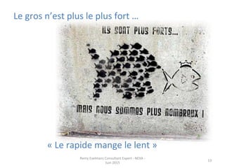 Le	
  gros	
  n’est	
  plus	
  le	
  plus	
  fort	
  …	
  	
  
	
  
	
  
	
  
	
  
	
  
	
  
	
  
	
  
	
   	
   	
  «	
  Le	
  rapide	
  mange	
  le	
  lent	
  »	
  
Remy	
  Exelmans	
  Consultant	
  Expert	
  -­‐	
  NEXA	
  -­‐	
  
Juin	
  2015	
  
13	
  
 