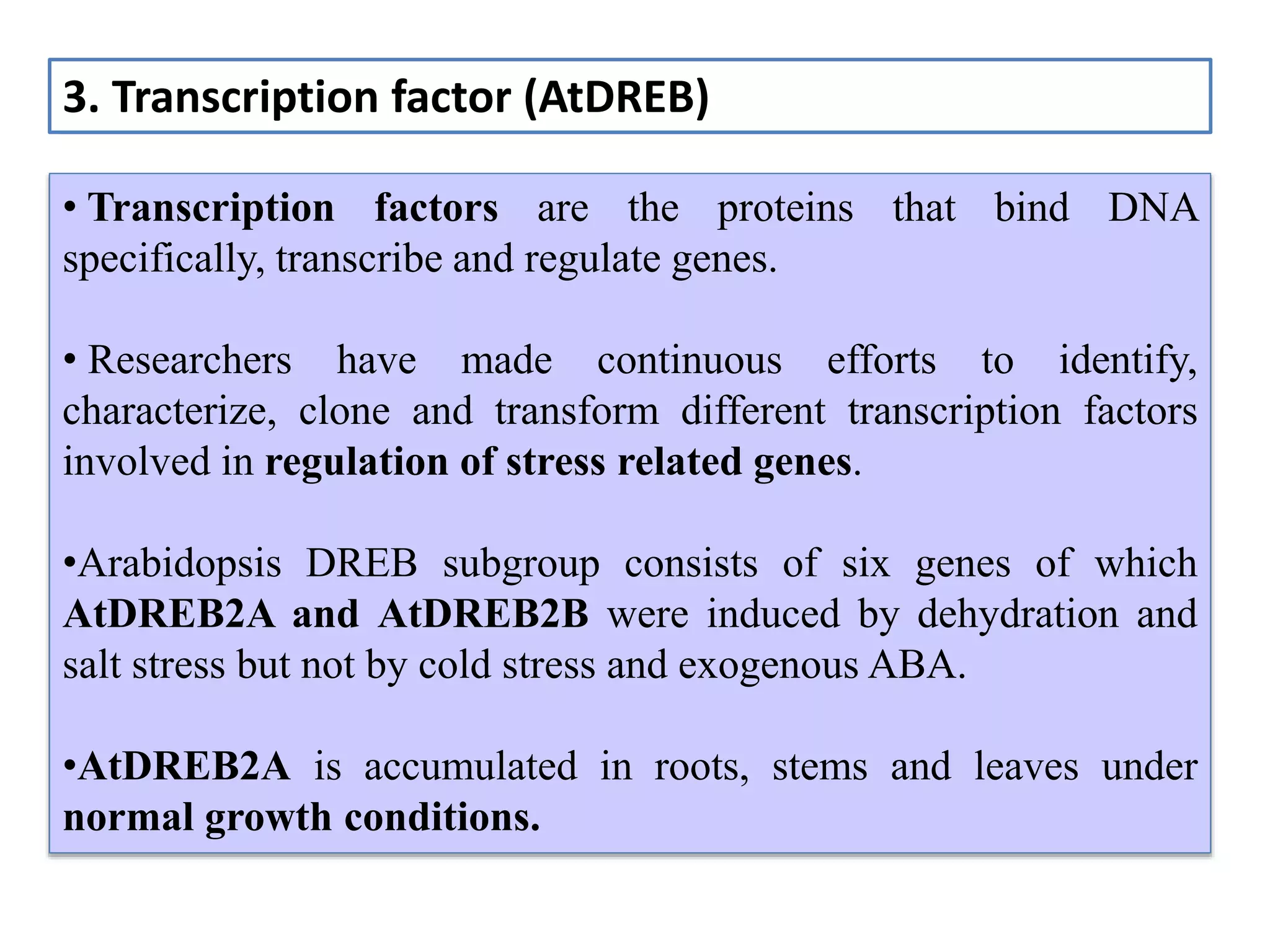 • Transcription factors are the proteins that bind DNA
specifically, transcribe and regulate genes.
• Researchers have made continuous efforts to identify,
characterize, clone and transform different transcription factors
involved in regulation of stress related genes.
•Arabidopsis DREB subgroup consists of six genes of which
AtDREB2A and AtDREB2B were induced by dehydration and
salt stress but not by cold stress and exogenous ABA.
•AtDREB2A is accumulated in roots, stems and leaves under
normal growth conditions.
3. Transcription factor (AtDREB)
 