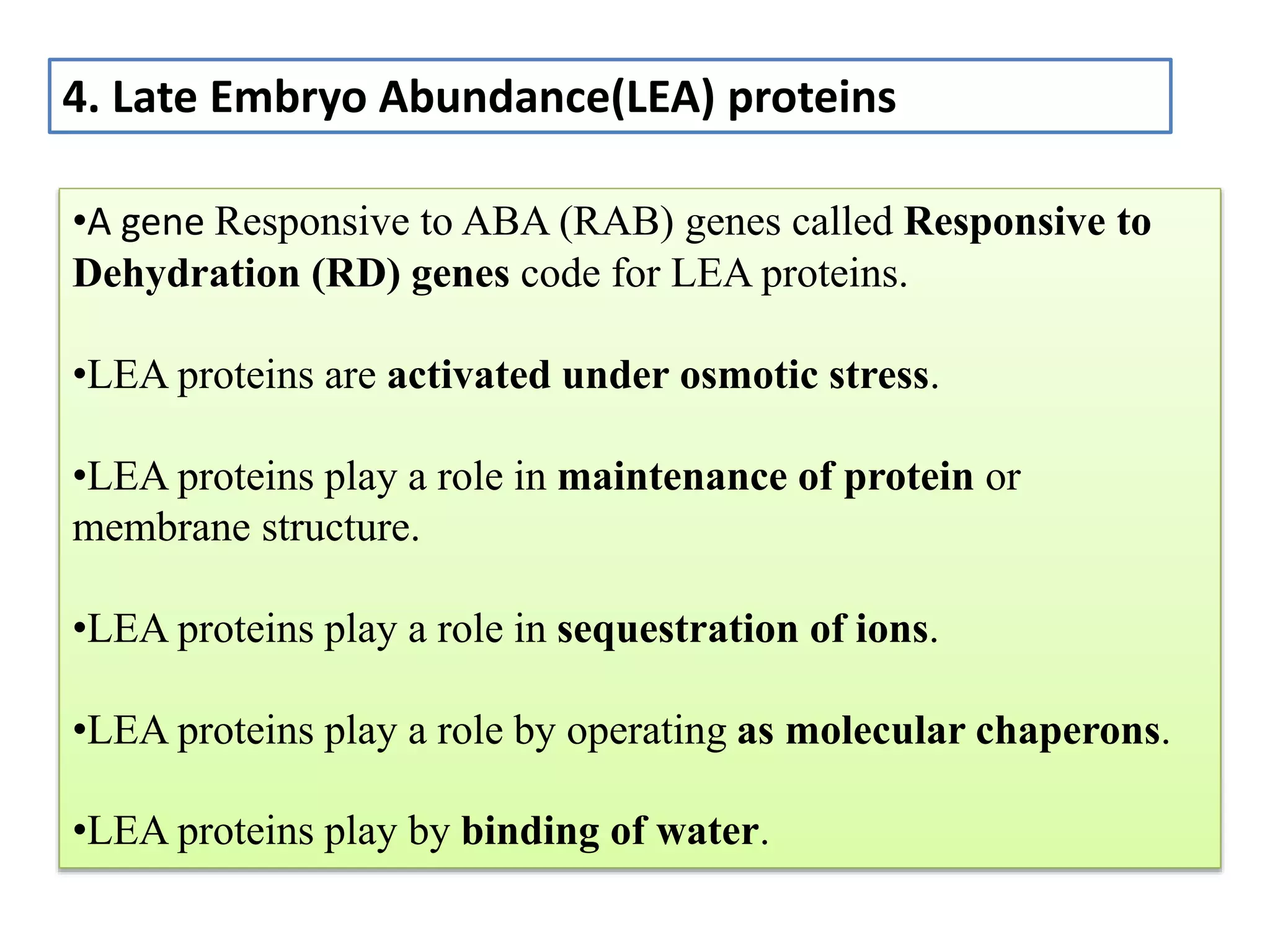 •A gene Responsive to ABA (RAB) genes called Responsive to
Dehydration (RD) genes code for LEA proteins.
•LEA proteins are activated under osmotic stress.
•LEA proteins play a role in maintenance of protein or
membrane structure.
•LEA proteins play a role in sequestration of ions.
•LEA proteins play a role by operating as molecular chaperons.
•LEA proteins play by binding of water.
4. Late Embryo Abundance(LEA) proteins
 