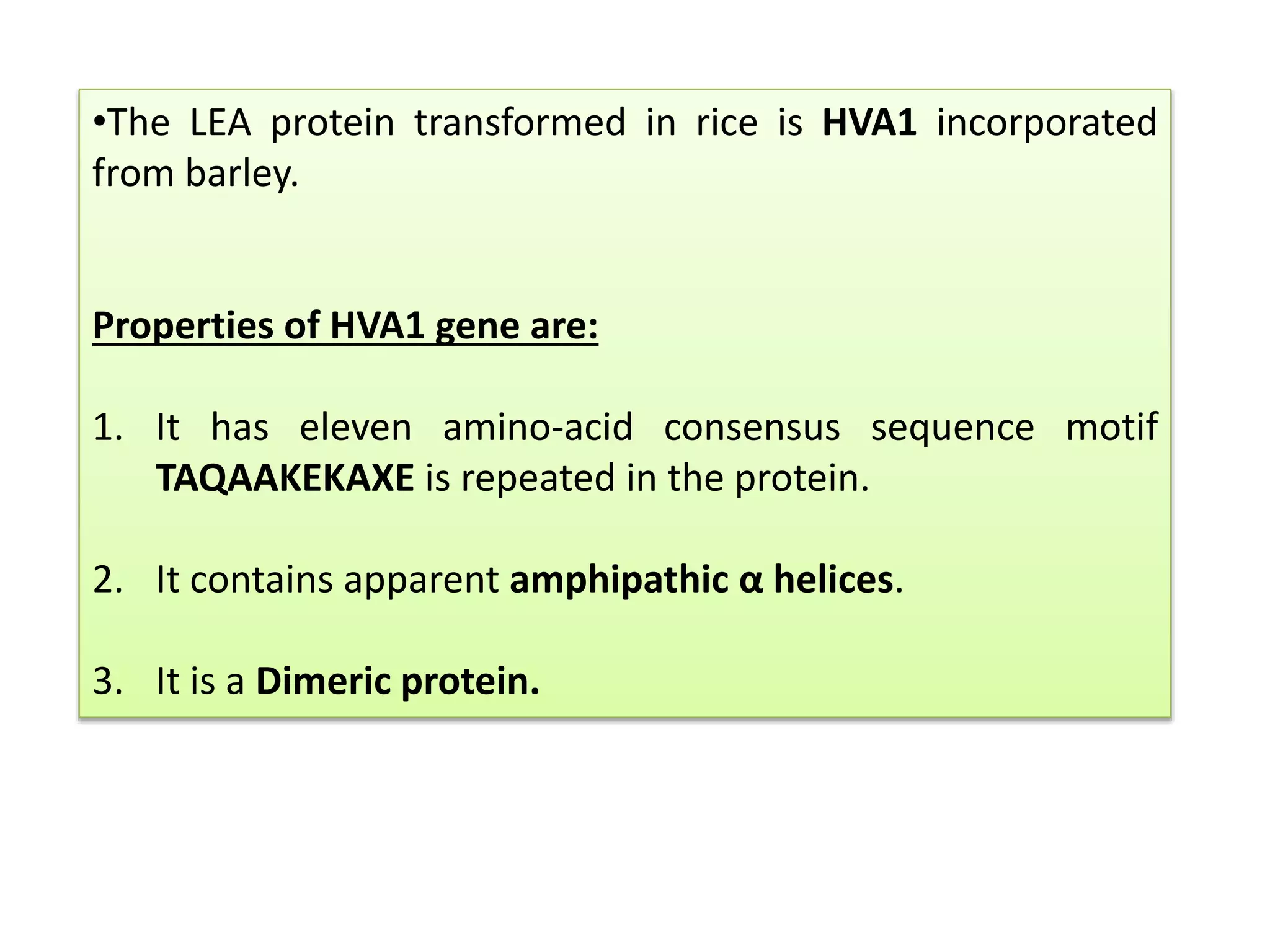 •The LEA protein transformed in rice is HVA1 incorporated
from barley.
Properties of HVA1 gene are:
1. It has eleven amino-acid consensus sequence motif
TAQAAKEKAXE is repeated in the protein.
2. It contains apparent amphipathic α helices.
3. It is a Dimeric protein.
 