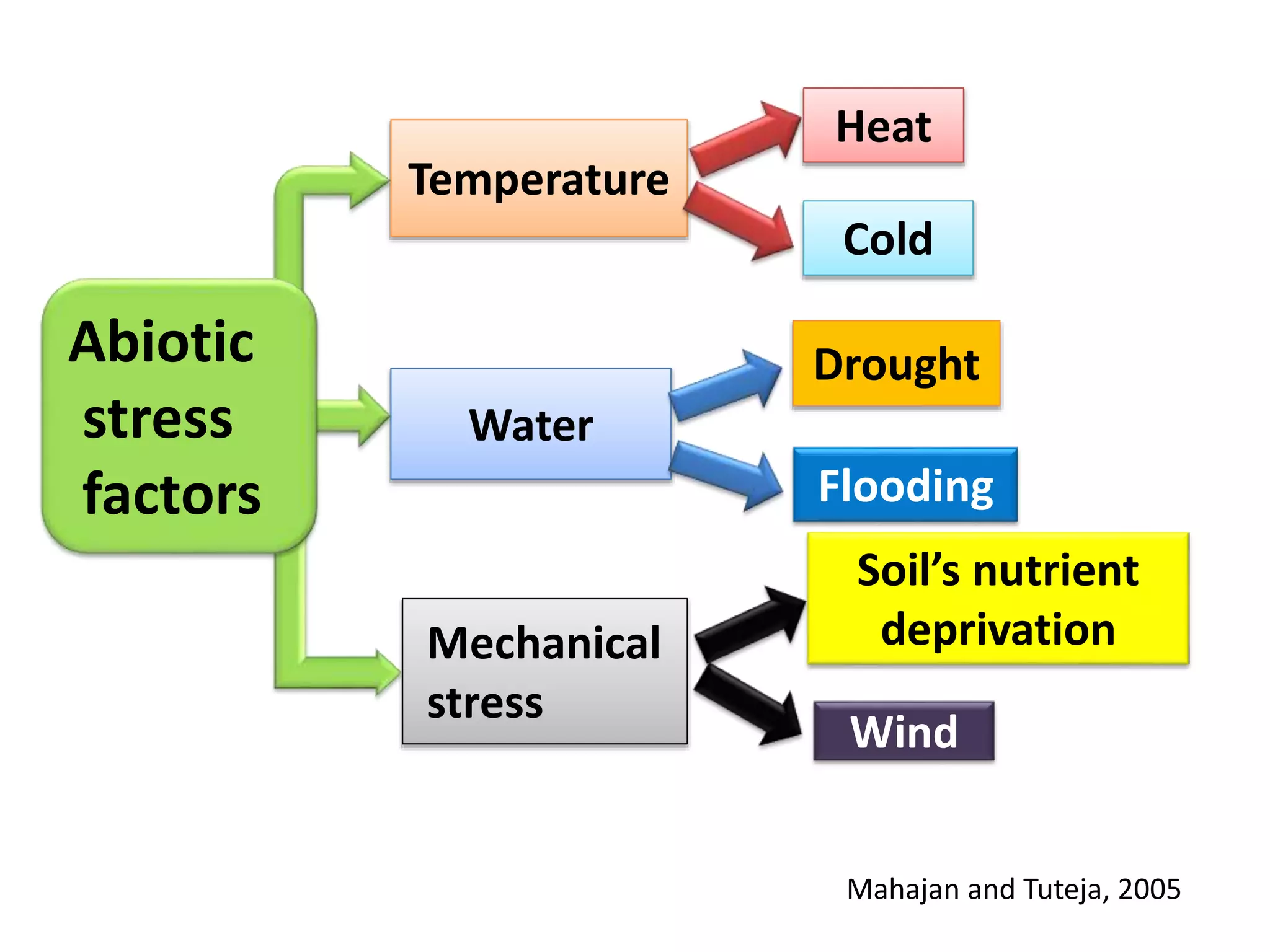 Water
Drought
Flooding
Cold
Heat
Temperature
Soil’s nutrient
deprivation
Wind
Mechanical
stress
Abiotic
stress
factors
Mahajan and Tuteja, 2005
 